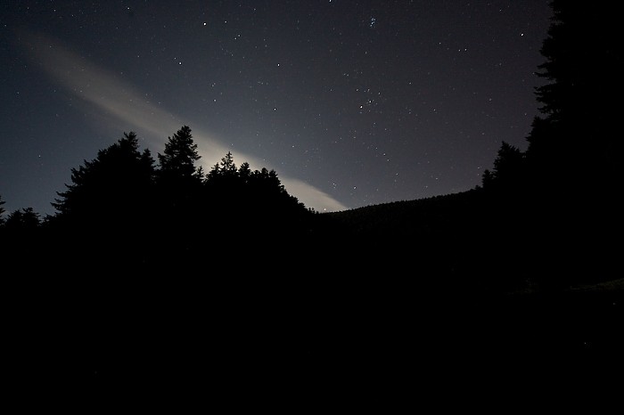 Listopadowa noc...?! Wcale nie taka brzydka jak się wydaje!